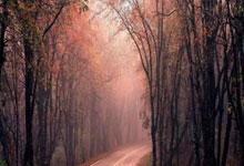 PG游戏:粤女篮时隔6年重返总决赛.