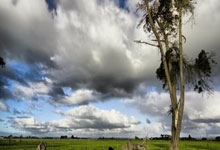 达洛特:相信阿莫林会在英超立足;与C罗并肩作战是荣幸.