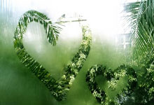 交易魔咒!达拉斯的伤病轨迹进程!.