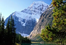 交易魔咒!达拉斯的伤病轨迹进程!.